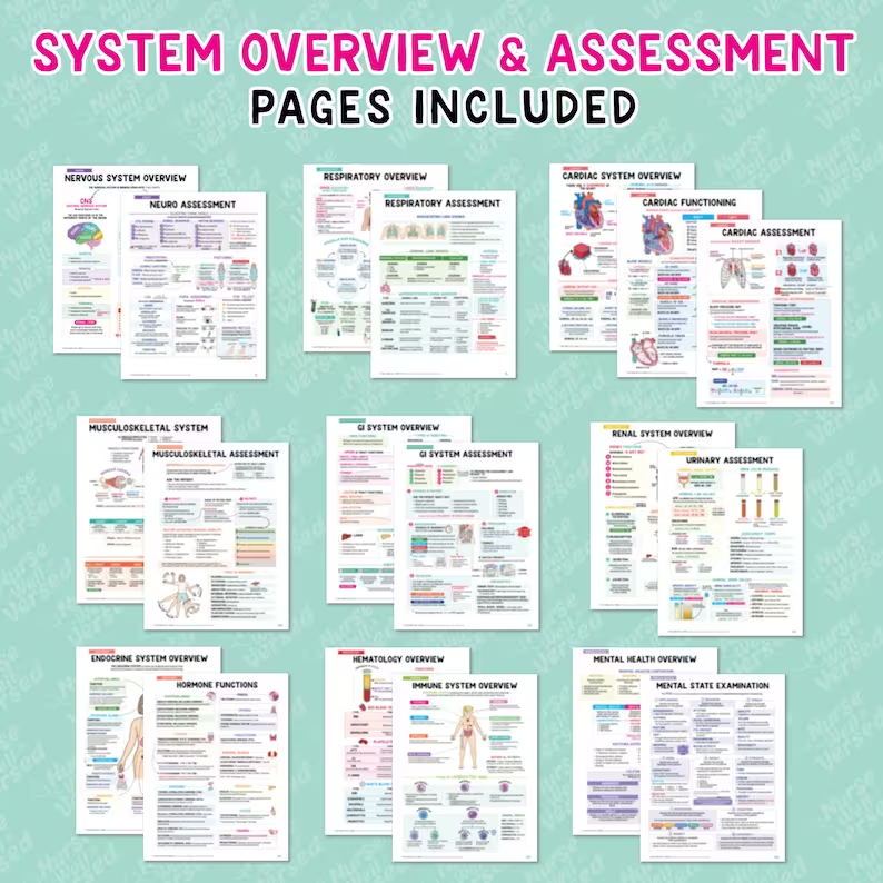 📒Nursing School Notes Success 🥼🩺