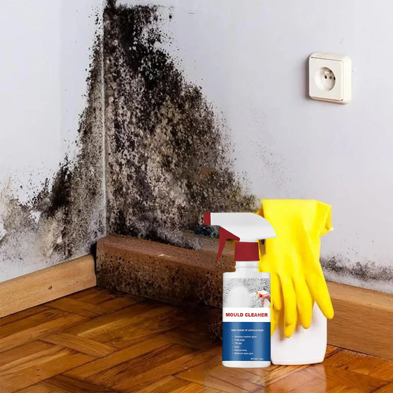 Multifunctional Mildew Cleaner Foam