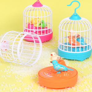 Electric Bird Cage Toy