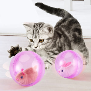 Hamster Running Ball Toy