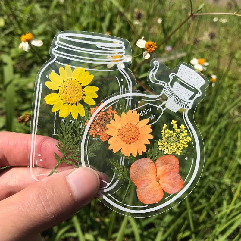 Beautiful Transparent Dried Flower Bookmarks