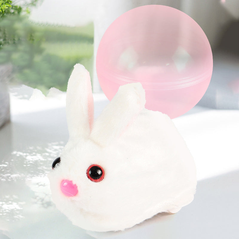 Hamster Running Ball Toys