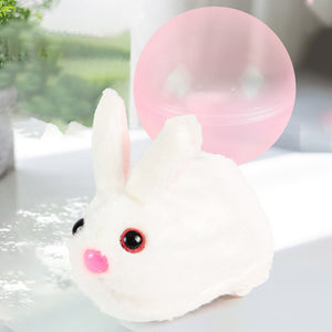 Hamster Running Ball Toys