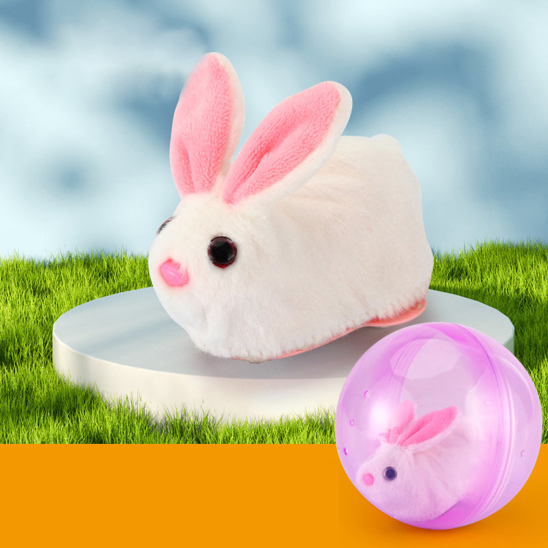 Hamster Running Ball Toy