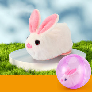 Hamster Running Ball Toy