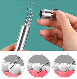 Stainless Steel Toothpick Set