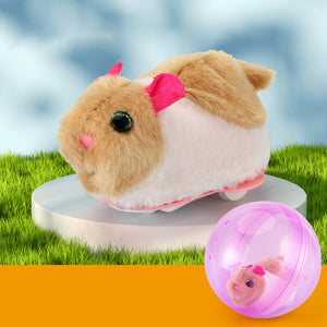 Hamster Running Ball Toy