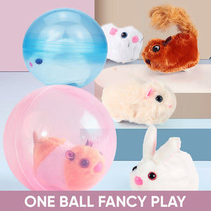 Hamster Running Ball Toys