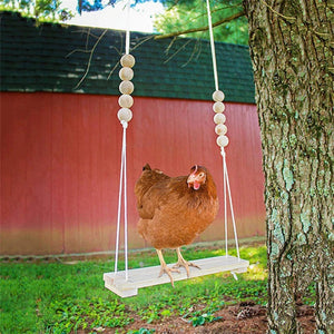 Chicken Swing Toy