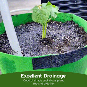 Fabric Vegetable Plant Growth Bag