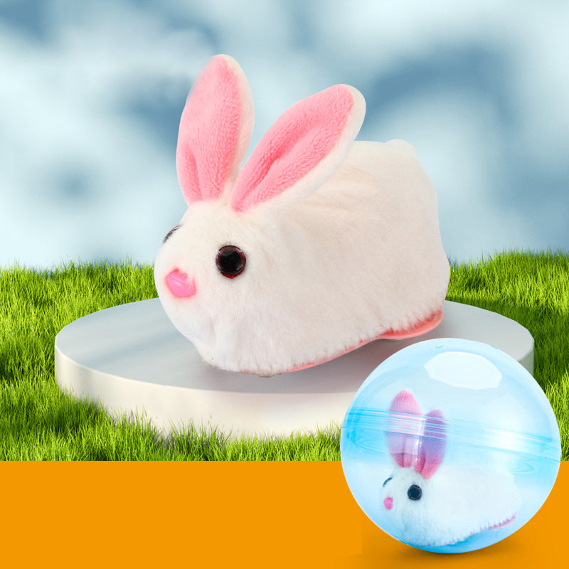 Hamster Running Ball Toy