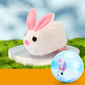 Hamster Running Ball Toy