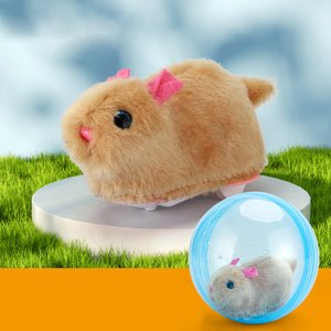 Hamster Running Ball Toy