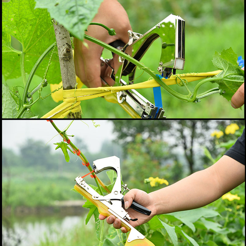 Vegetable & Fruit Strapper