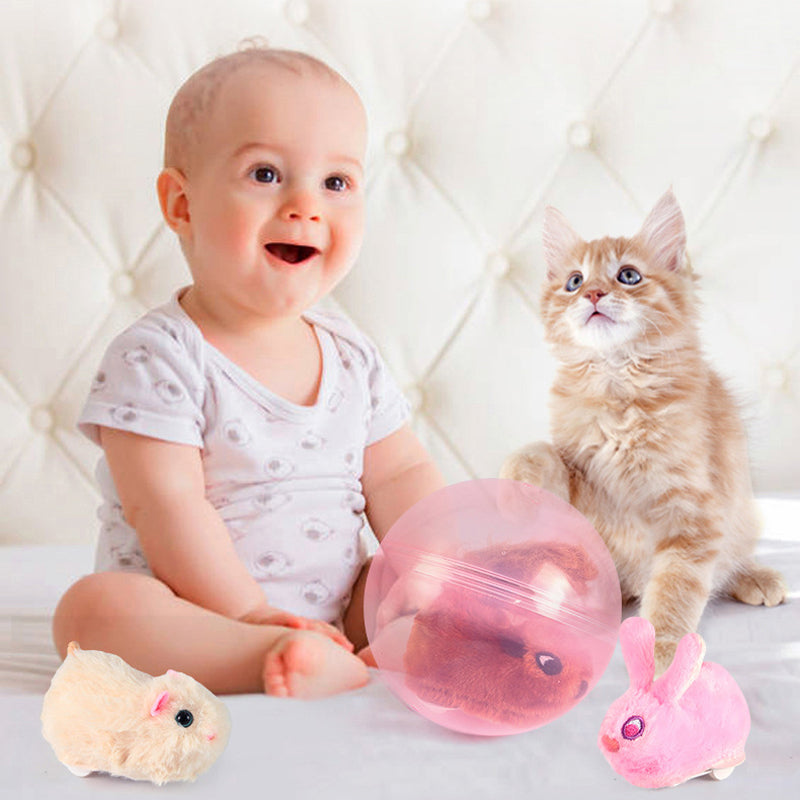 Hamster Running Ball Toys