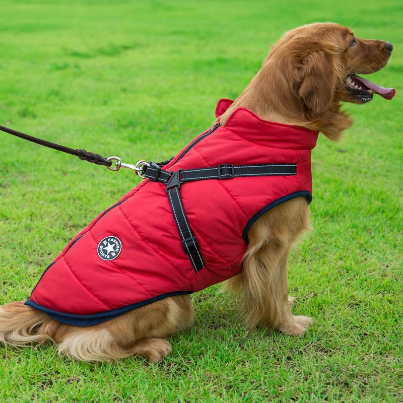 Waterproof Winter Jacket With Built-In Harness