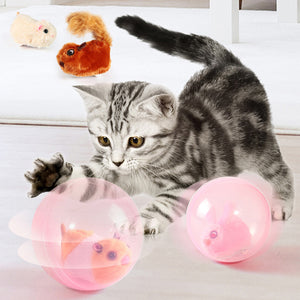 Hamster Running Ball Toys