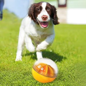 Multi-Functional Dog Toy Ball