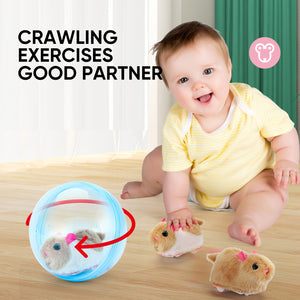 Hamster Running Ball Toy