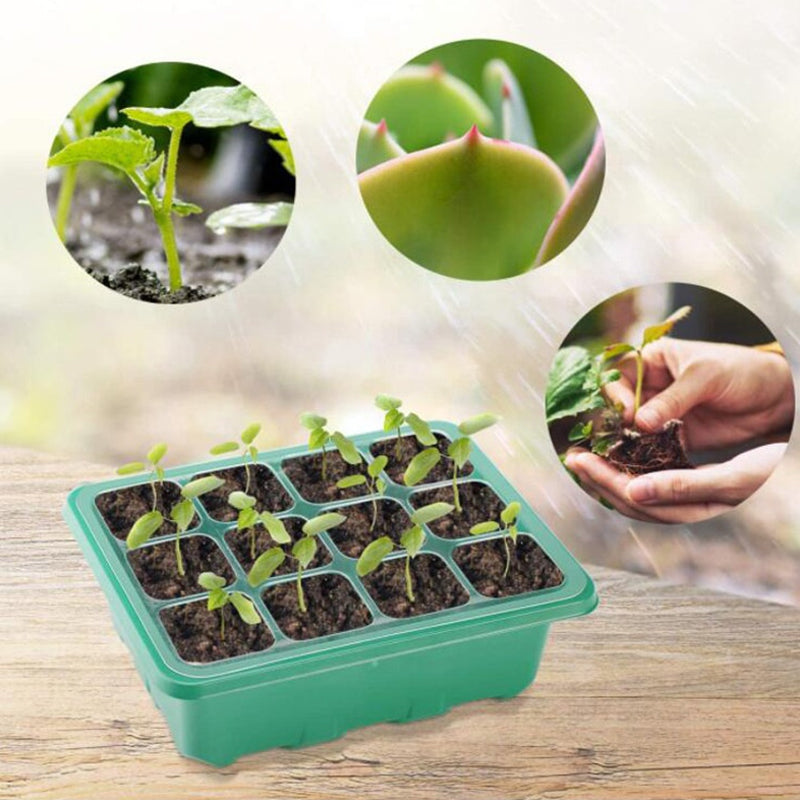 Seed Starter Trays