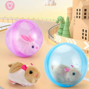 Hamster Running Ball Toy