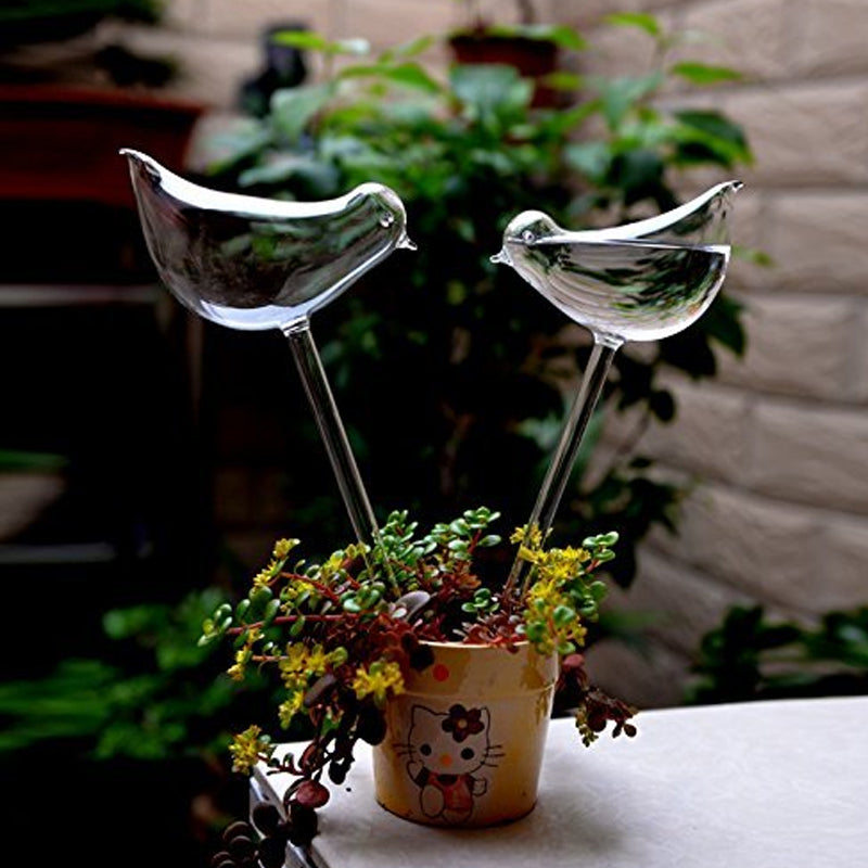 Self-watering Plant Glass Bulb