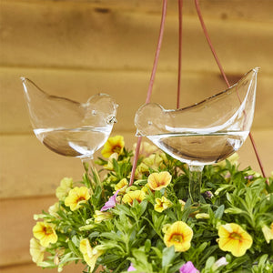 Self-watering Plant Glass Bulb